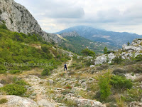 Kozjak slike