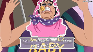 ワンピースアニメ ドレスローザ編 664話 セニョール・ピンク | ONE PIECE Episode 664