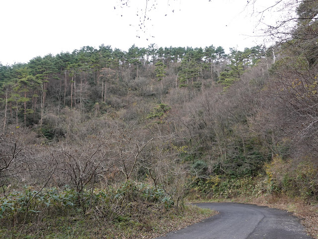 赤松池の脇道を降ります