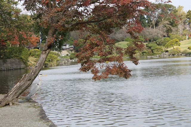 水前寺成趣園