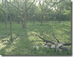 DSC01031