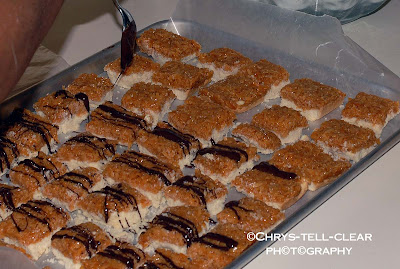 Recipes  Girl Scout Cookies on Family Recipes  Samoa Or Caramel Delights Girl Scout Cookie Bars