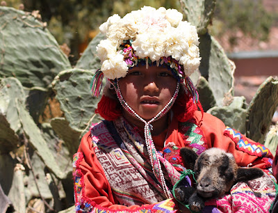  llama girl cria 