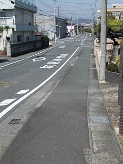 043dev-DSCF0136