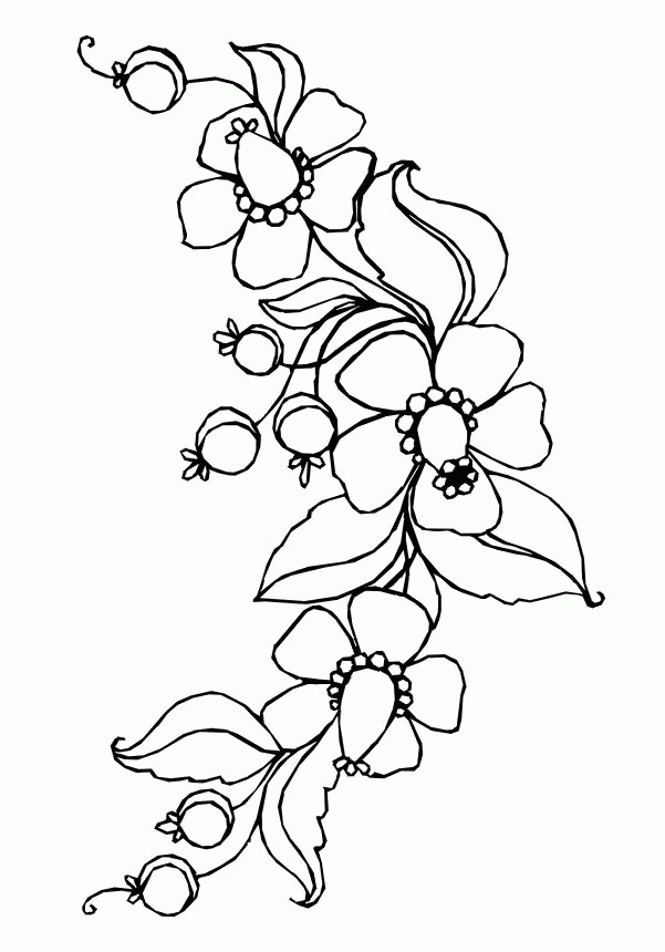  Free Print Out Coloring Pages   8