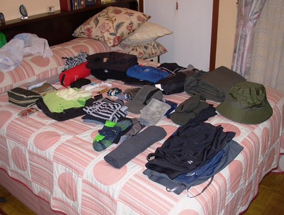 Camino 2010 (2)