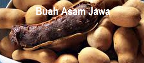 Anim Agro Technology: TANAM ASAM JAWA - POTENSINYA