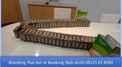 PROMOSI, 08123 01 8900 (Bpk. Alid), Brainking Plus di Bandung