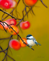 Bird Paintings