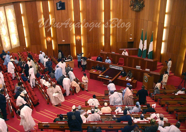 REVEALED! How legislative aides are earning more than Senators