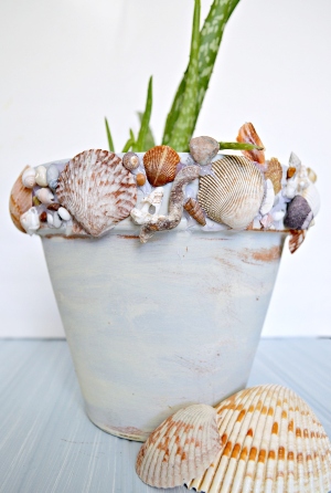 DIY Shell Planter Pot How to Tutorial