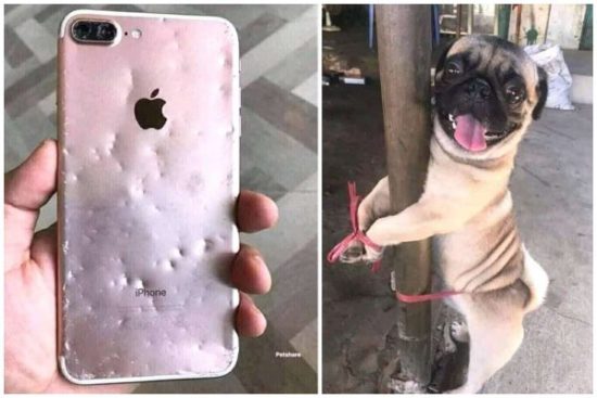 Nigerian Lady Punishes Her Dog For Chewing Her iPhone