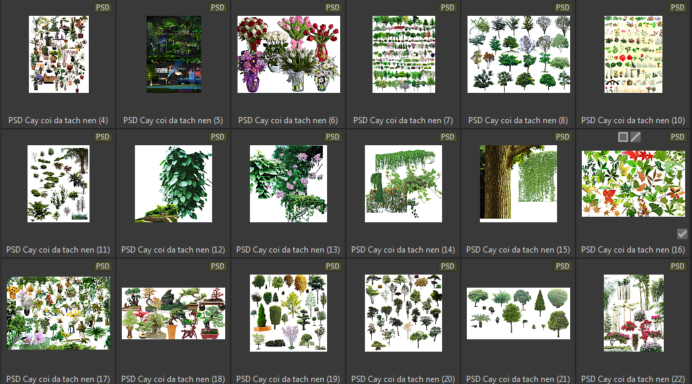 Chia sẻ File cây cối tách nền chất lượng cao