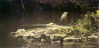 Heron on the Rocks