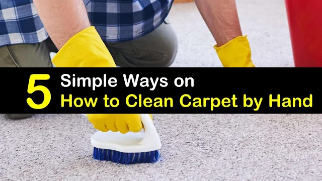 Clean Your Home Carpet