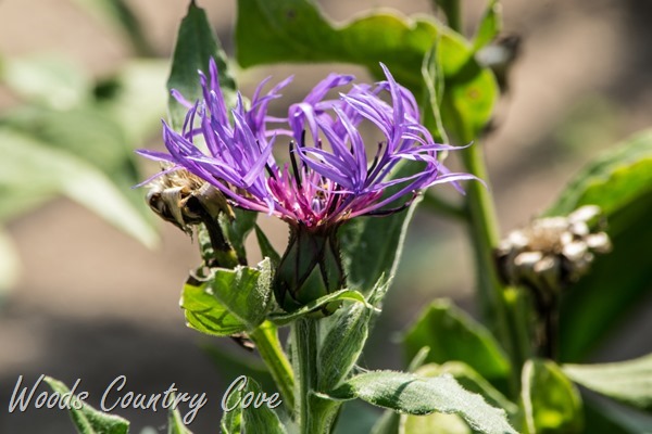 AUGUST 2015 (25 of 25)