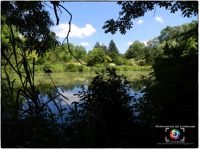 GELAUCOURT (54) - Jardin d'eau de l'Aubepré