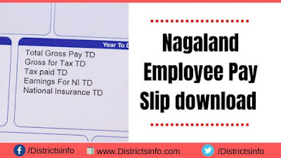 Nagaland Employee Pay Slip download