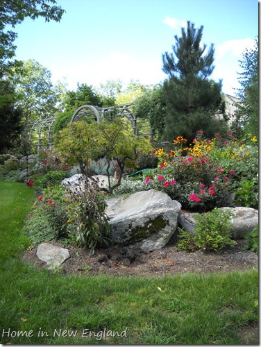 rock garden