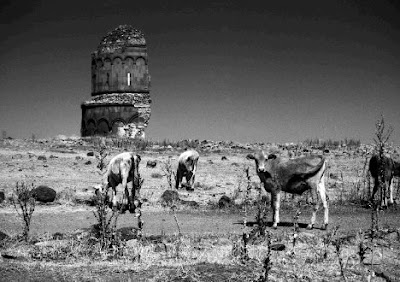 Amazing Buildings Swallowed by the Desert