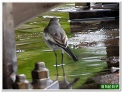 20131002_083906_0064_Japan