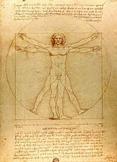 O homem vitruviano de Leonardo Da Vinci. Reprodução fotográfica de domínio público.