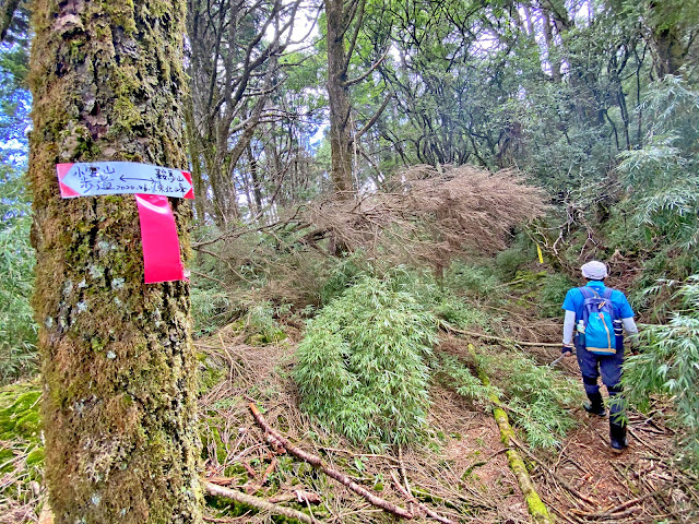 往鞍馬山東北峰