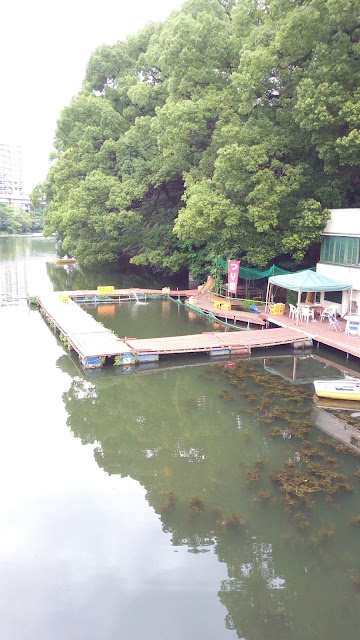 赤坂見附外濠魚釣り