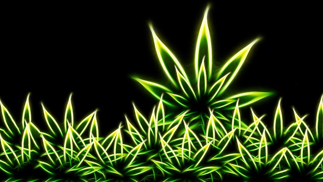 Marijuana NEON Leafs HD Wallpaper