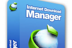 Internet Download Manager V6.31[Build 2][Full]