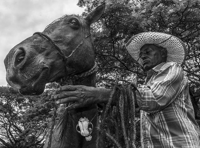 Reliquias vivientes del Llano