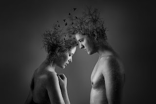 portrait, monochrome, darkness, black and white, art, people, black white, bird, nature, tree, photoshop, soul mate, love,