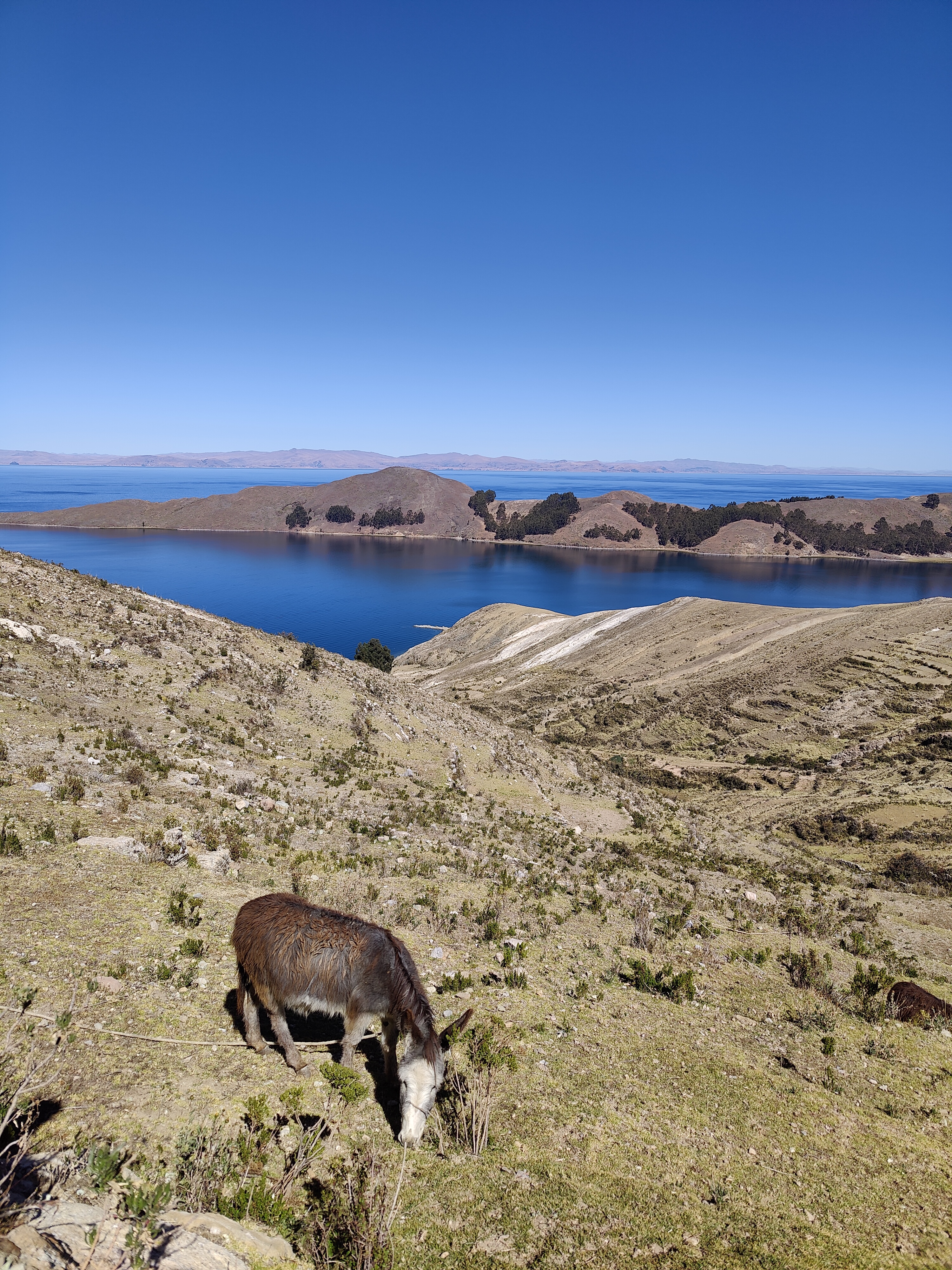 Titicaca -järvi