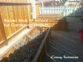 Convey Awareness | Raised Beds - Garden Project at a Montessori