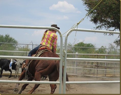 Atotonilco 016