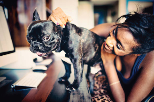 woman and dog at desk