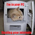 Cat In PC