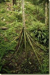 Mariposario 008