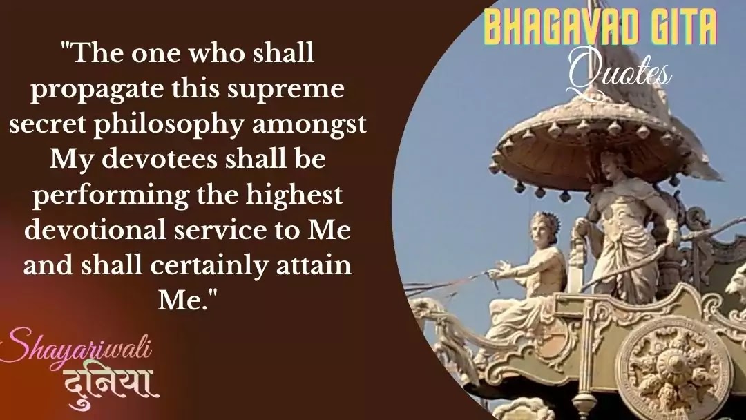 100+ Best Bhagavad Gita Quotes In Hindi & English