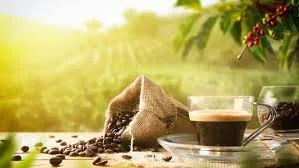 coffe morning