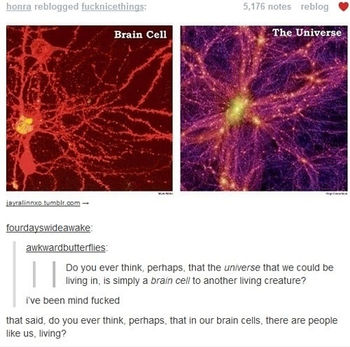 mind blowing theory