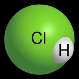  ACID  MURIATICUM - ஆசிட் முரியாட்டிகம்