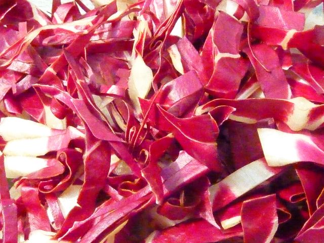 Radicchio Trevisano - Radicchio rosso di Treviso, Blattspitzen feingeschnitten 