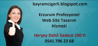 [Sadece 190 tl] Erzurum Profesyonel Web Site Tasarım Hizmeti - 05417962368