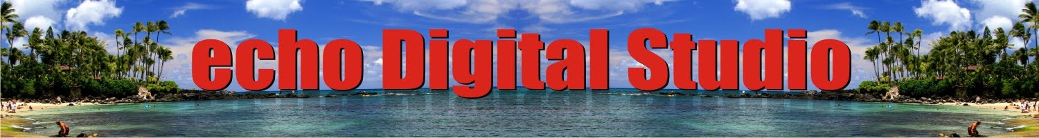 echo digi studio