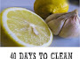 Here Are 40 Days To Clean Cholesterol Residue From Blood Vessels. Here’s How To Do It!!!