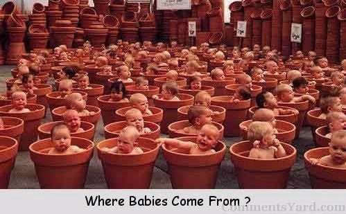 Funny Babies In Pot-Where babies come from
