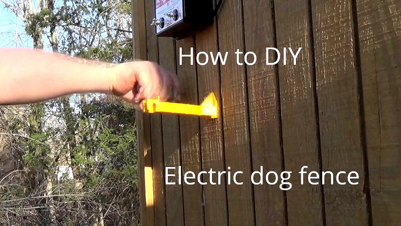 How Does An Electric Dog Fence Work