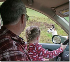 07 indy road trip