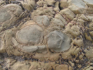 The form of Rock in Halmahera Island beach, Indonesia